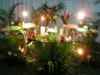 /album/galeria-de-fotos/robocop-44-jpg/